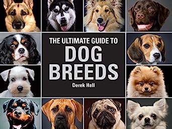 The Ultimate Guide To Dog Breeds A Useful Means Of Identifying The Dog The Ultimate Guide To Dog Breeds A Useful Means Of Identifying The Dog