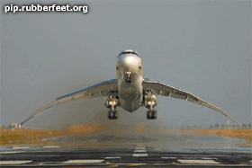 Things That Bounce Thursday 16 Gifs Things That Bounce Thursday 16 Gifs