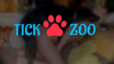 Tickzoo.