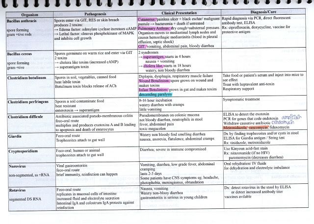 Usmle Notes Usmle Microbiology Charts Tables Notes Uworld Notes Usmle Notes Usmle Microbiology Charts Tables Notes Uworld Notes