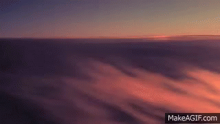 Vienna Black Gif Vienna Black Gif