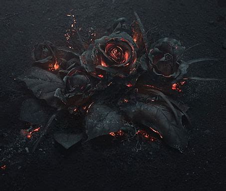 Wallpapers Black Stylish Rose Dp For Whatsapp Careersplay Com Wallpapers Black Stylish Rose Dp For Whatsapp Careersplay Com