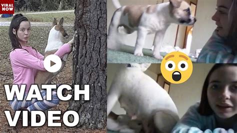 Watch 8 Minutes Video Watch Denise Frazier Dog Snapchat Leaked On Watch 8 Minutes Video Watch Denise Frazier Dog Snapchat Leaked On
