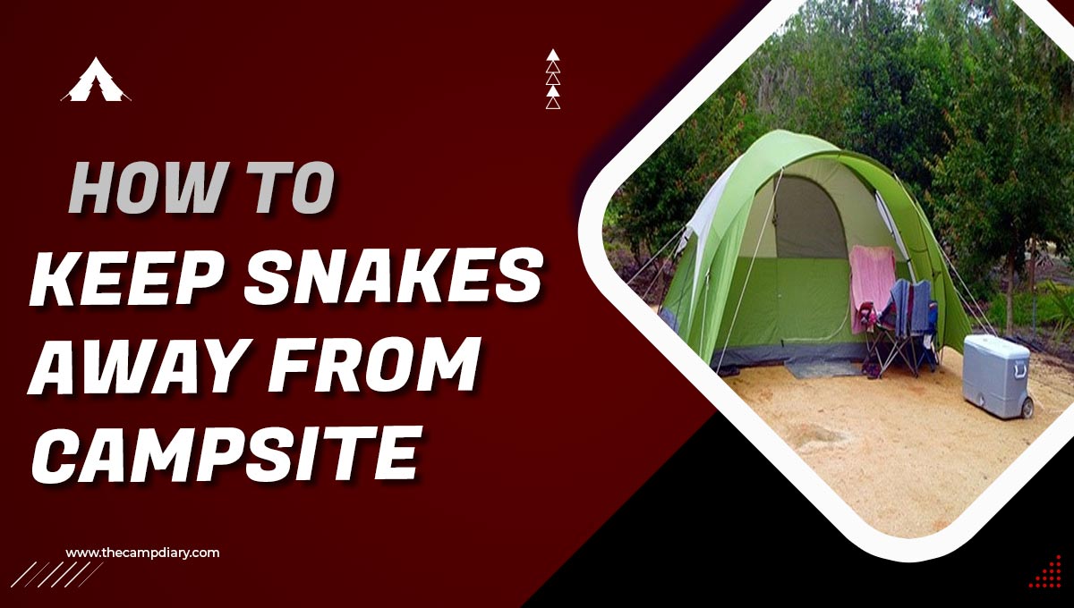 What Can Be Used To Keep Snakes Away