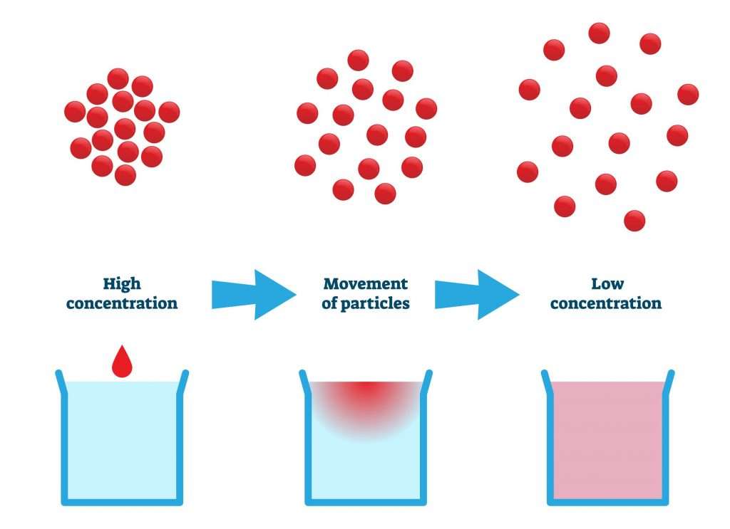What Is Diffusion Types Examples Of Diffusion What Is Diffusion Types Examples Of Diffusion