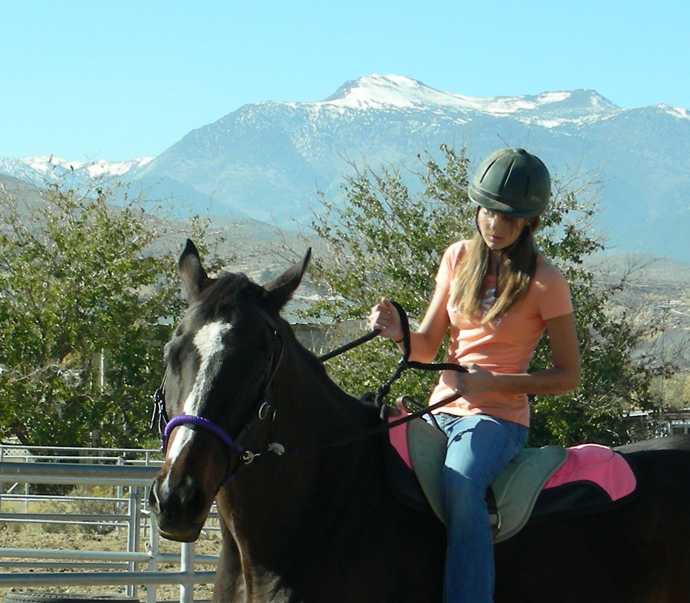 What Is Equine Therapy And Why Does Equine Assisted Therapy Work What Is Equine Therapy And Why Does Equine Assisted Therapy Work