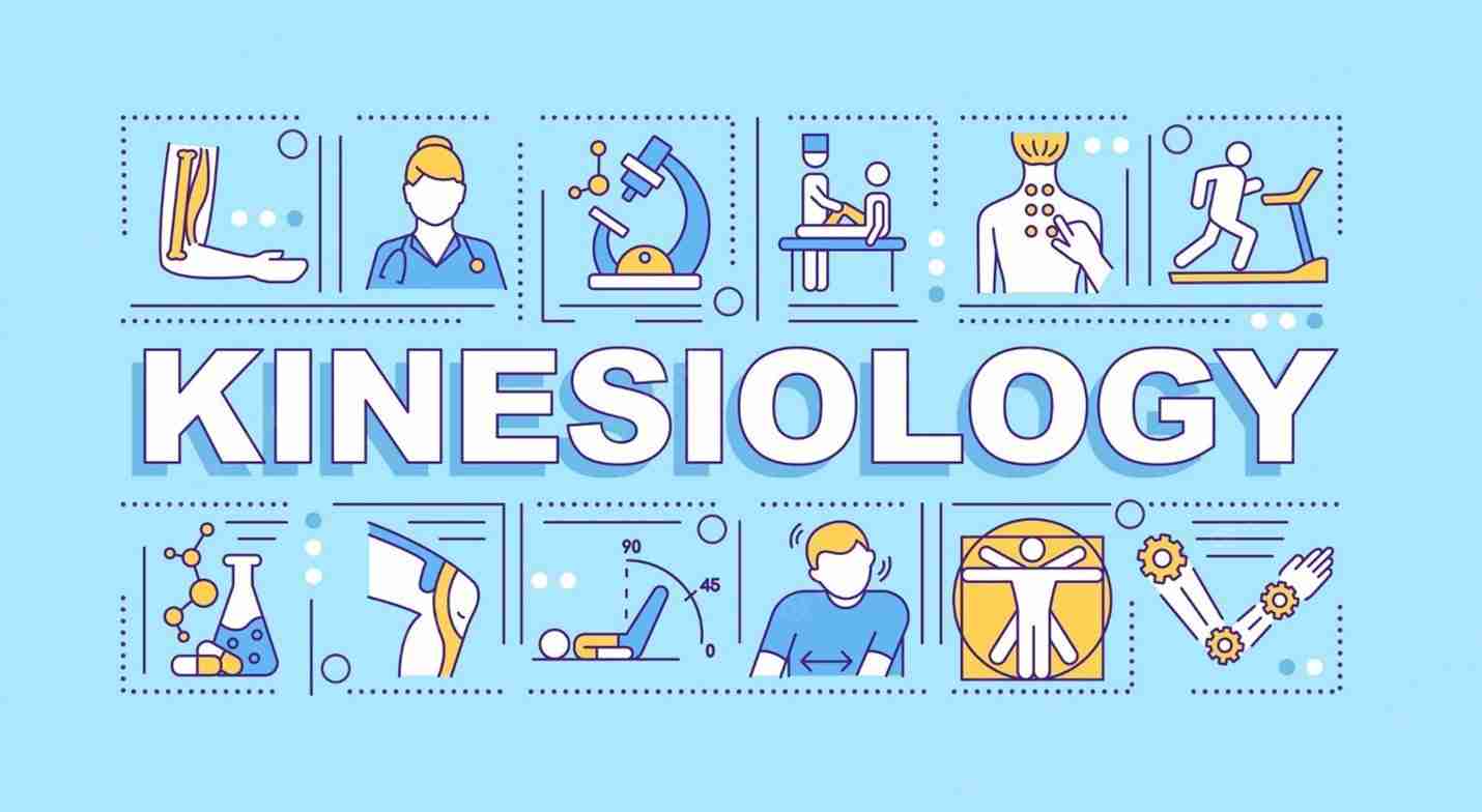What Is Kinesiology And Why Study A Kinesiology Degree Edvise Hub What Is Kinesiology And Why Study A Kinesiology Degree Edvise Hub