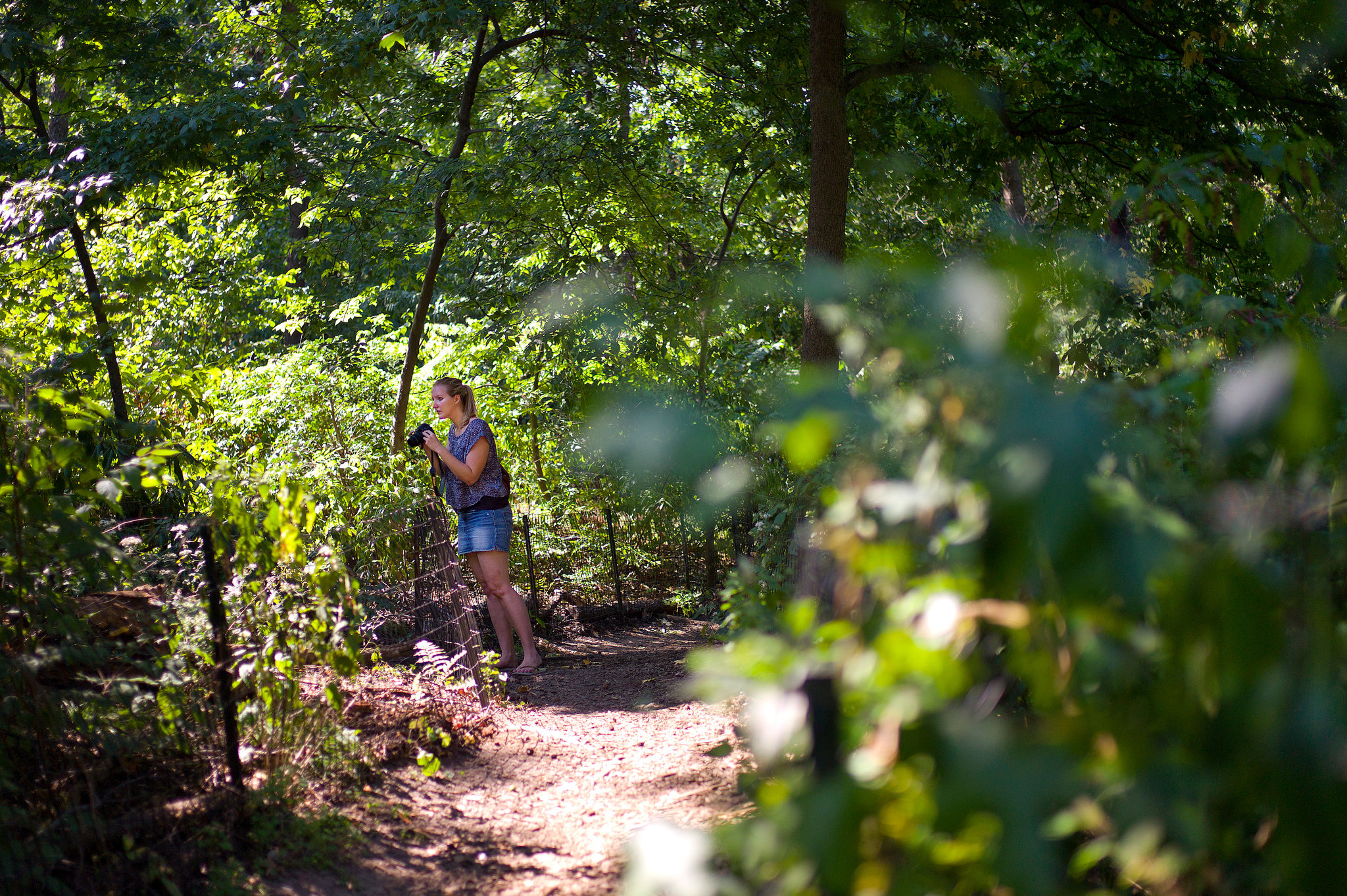 Why Gay Sex In A Park Is Still Popular Why Gay Sex In A Park Is Still Popular