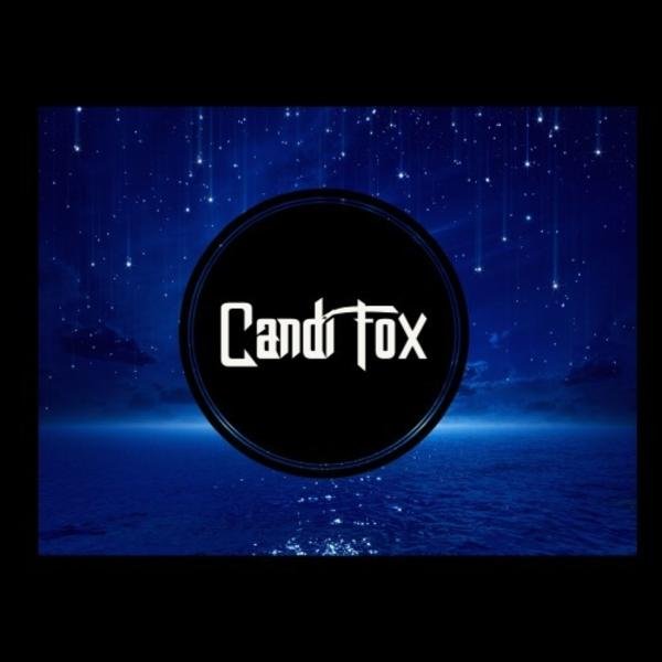 Witch S Transformation Volume 2 The Naked Truth Fox Candi Witch S Transformation Volume 2 The Naked Truth Fox Candi