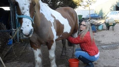 Woman Happy With Job Cleaning Semen Off Horse Wangs I Don T Mind Woman Happy With Job Cleaning Semen Off Horse Wangs I Don T Mind
