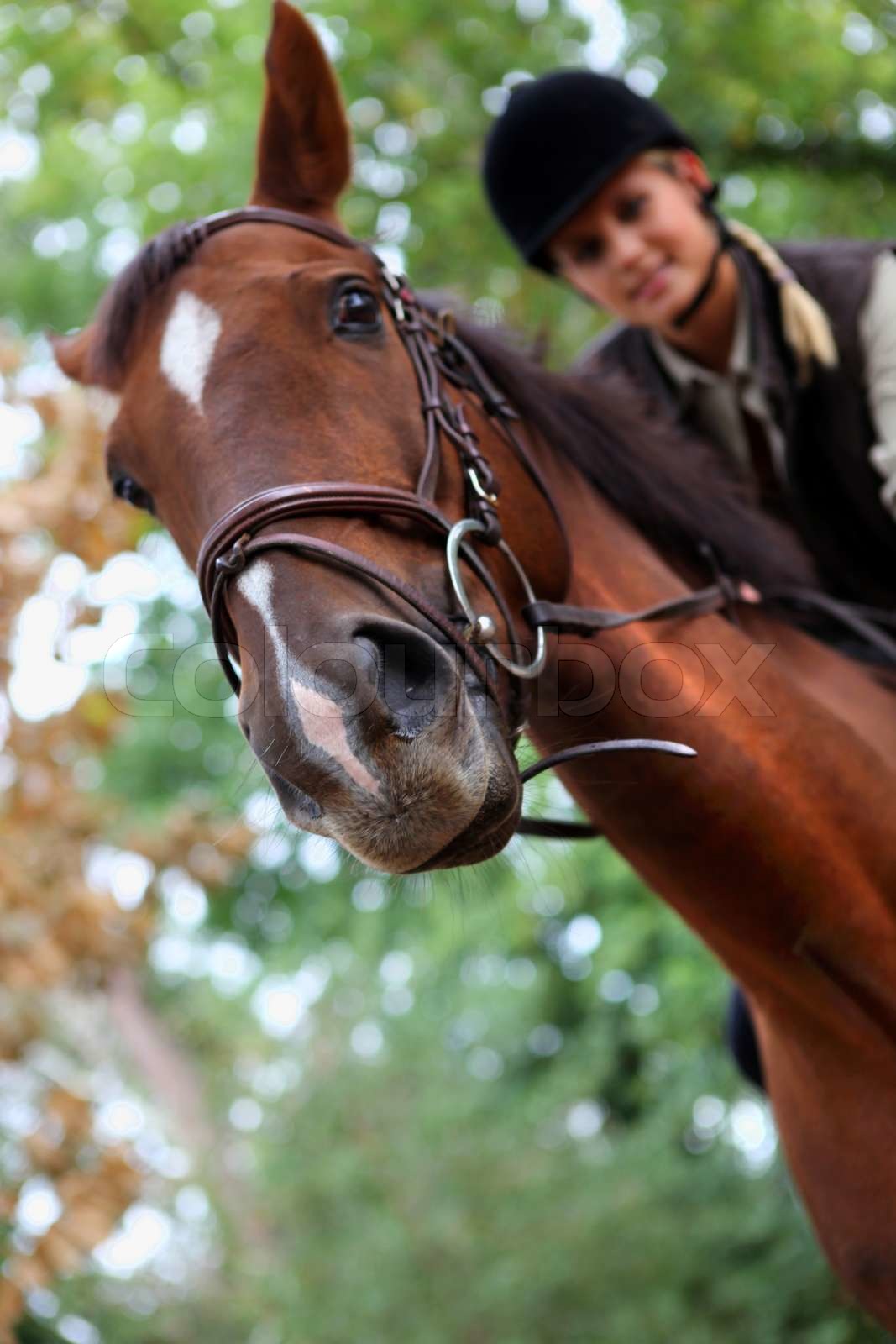 Woman Riding Horse Youtube