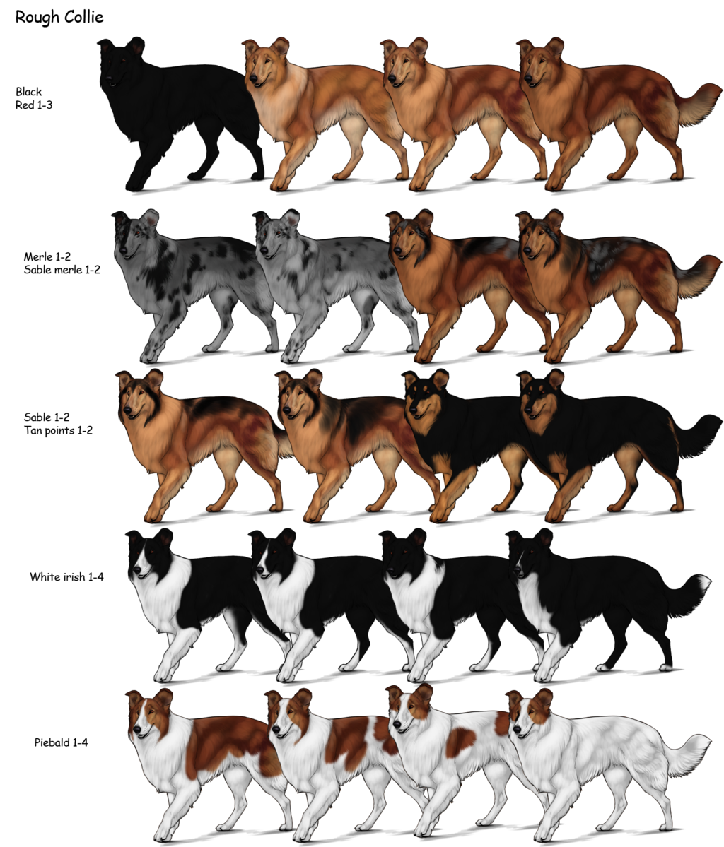 Wonderful Wednesday Farm Crafts Breeds Horses Farms Category Wonderful Wednesday Farm Crafts Breeds Horses Farms Category