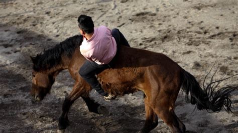Yegua Patea Y Mata A Hombre Durante Carrera A La Chilena En Uble