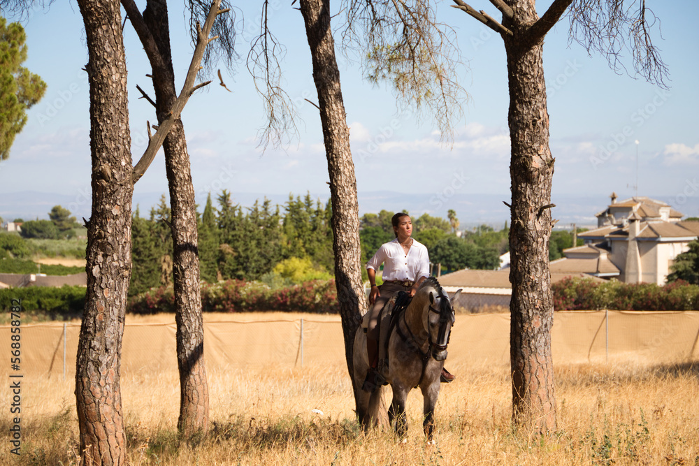 Young And Beautiful Spanish Woman On A Thoroughbred Horse Riding In The Young And Beautiful Spanish Woman On A Thoroughbred Horse Riding In The