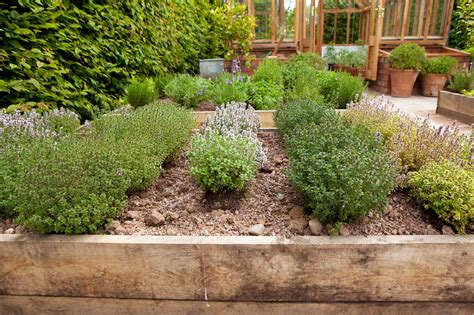 Your Journey To A Thriving Herb Garden National Assemblers Your Journey To A Thriving Herb Garden National Assemblers