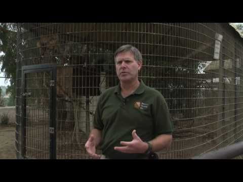 Zoologists In A Zoo Zoologists In A Zoo